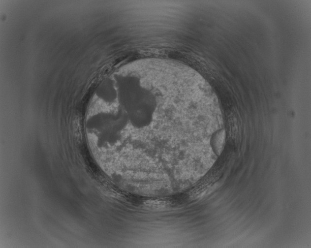 X0000073390699200608251434
