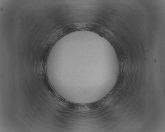 X0000073390702200608251434