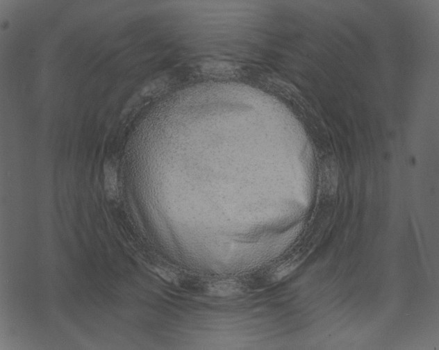 X0000073390705200608251434