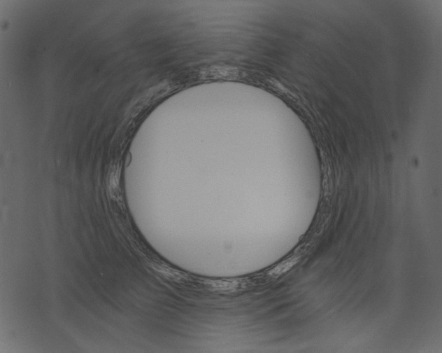 X0000073390709200608251434