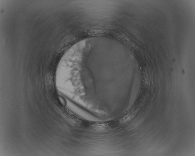X0000073390711200608251434