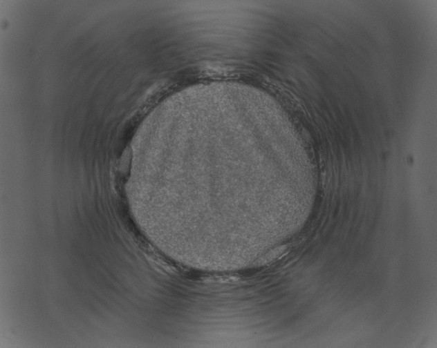X0000073390712200608251434