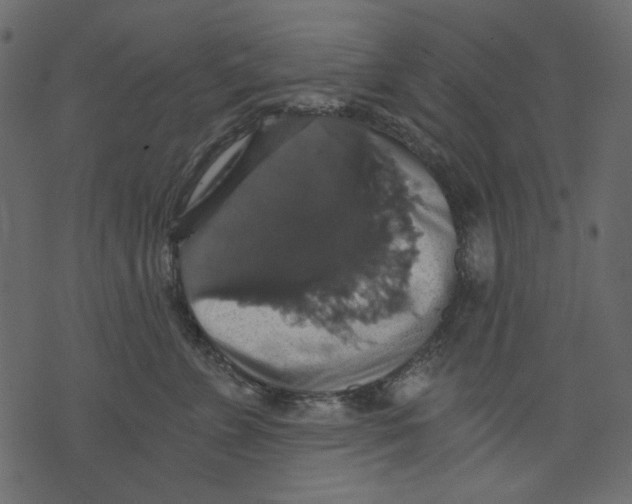 X0000073390715200608251434