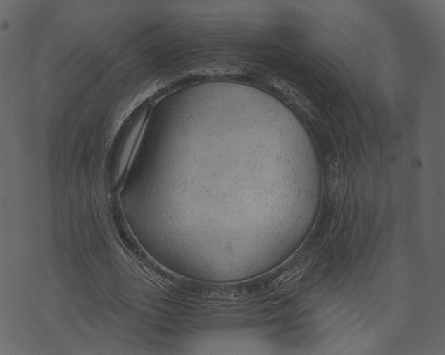 X0000073390727200608251433