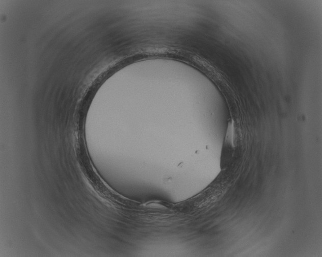 X0000073390728200608251433