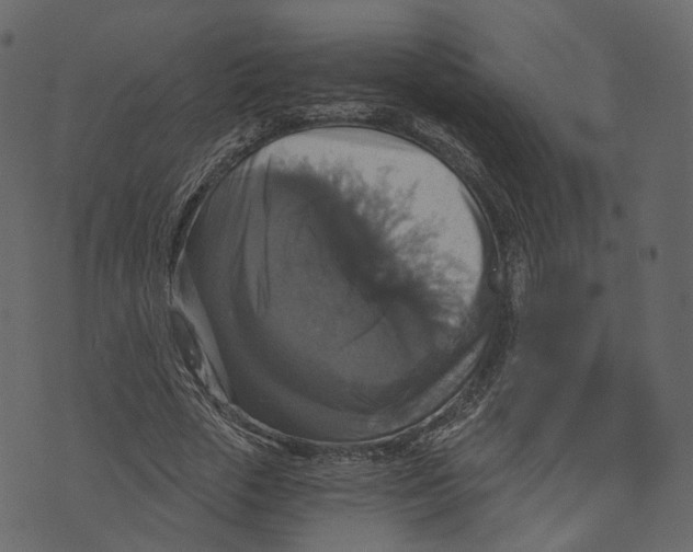 X0000073390729200608251433