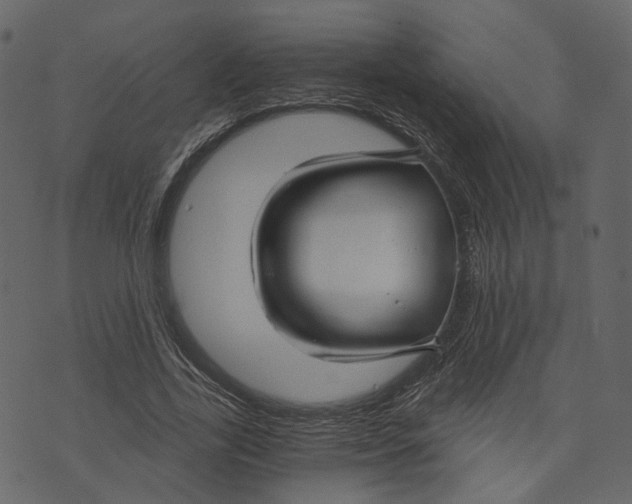 X0000073390731200608251433