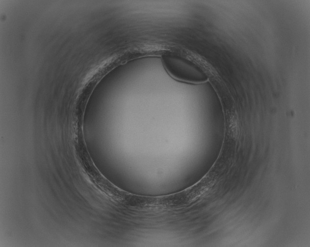 X0000073390732200608251433