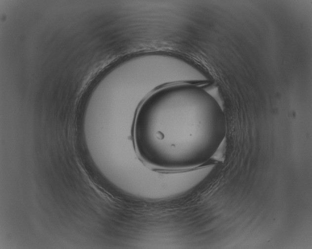 X0000073390736200608251433