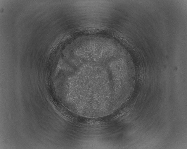 X0000073390742200608251434