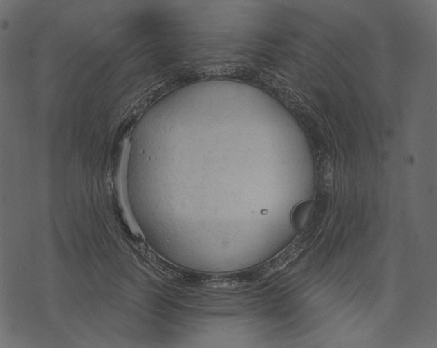 X0000073390746200608251434