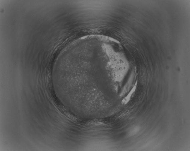 X0000073390747200608251434