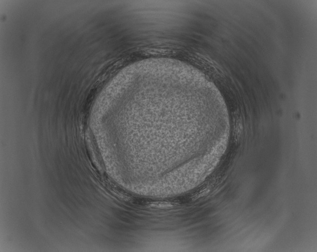 X0000073390749200608251434