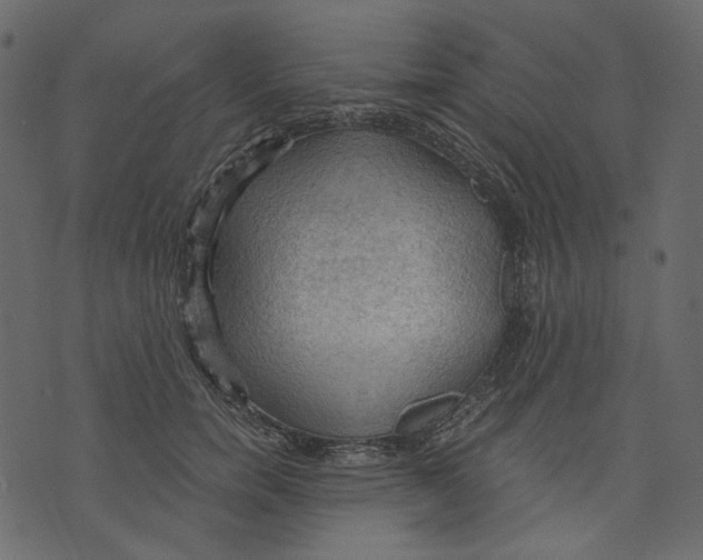 X0000073390750200608251434