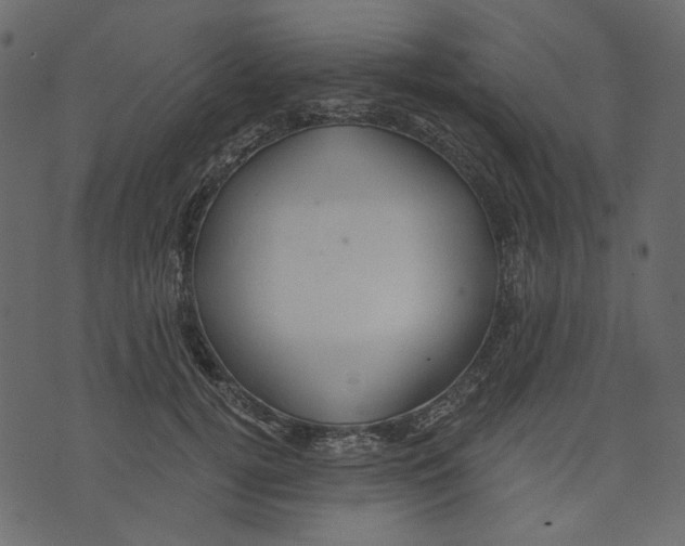 X0000073390752200608251434