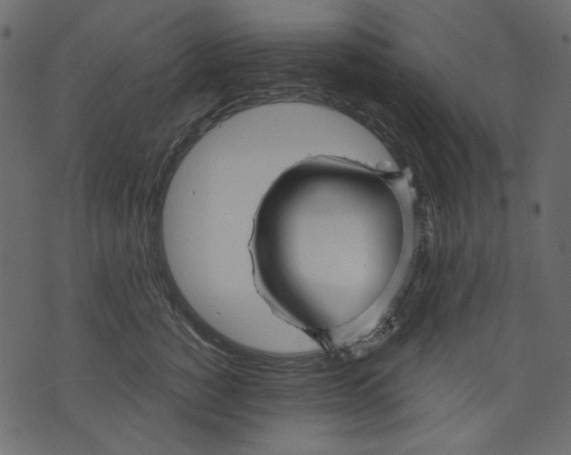 X0000073390760200608251434
