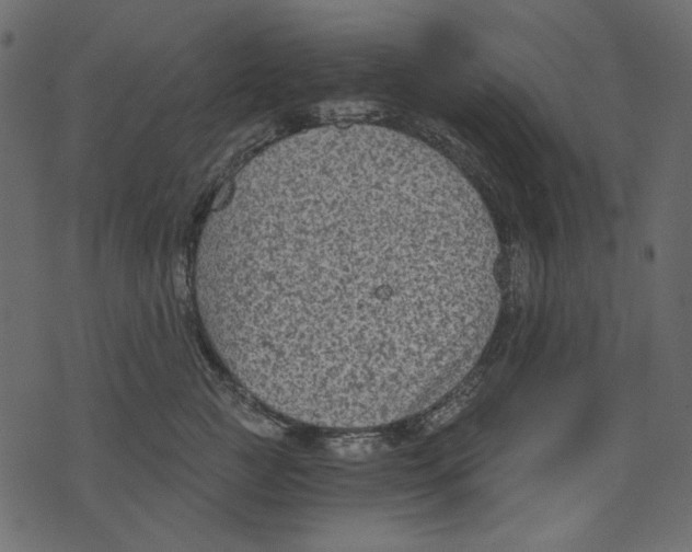 X0000073390761200608251434