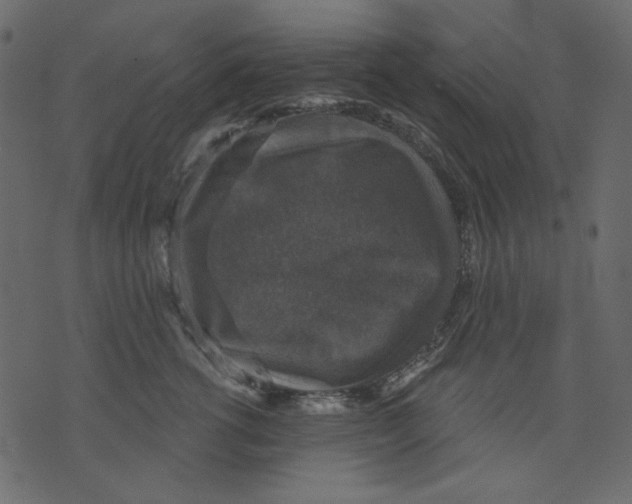 X0000073390762200608251434