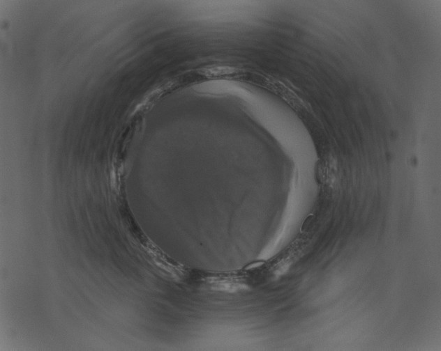 X0000073390763200608251434