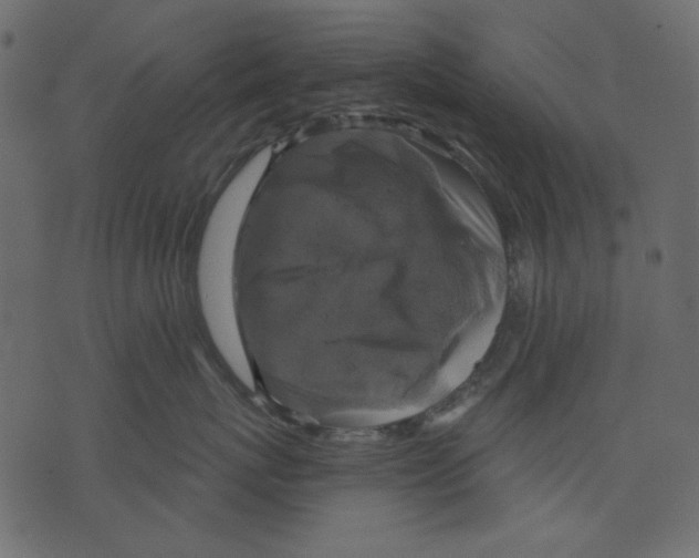 X0000073390767200608251434