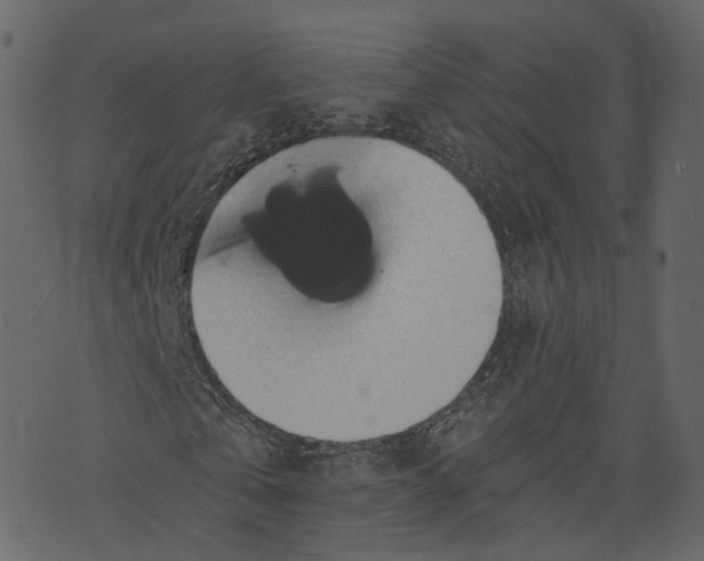 X0000073390769200608251433