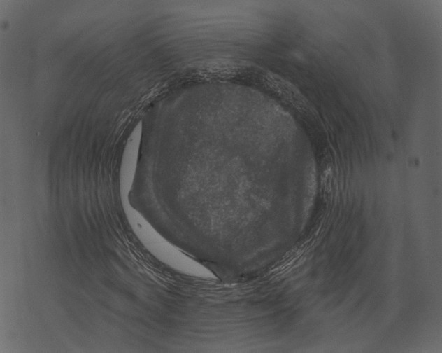 X0000073390772200608251433
