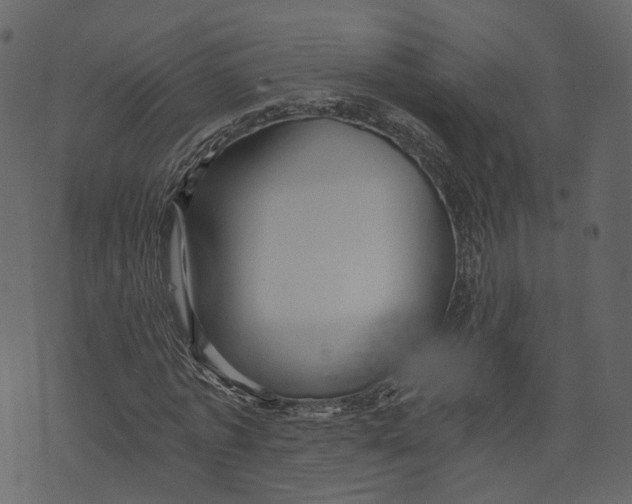 X0000073390773200608251433