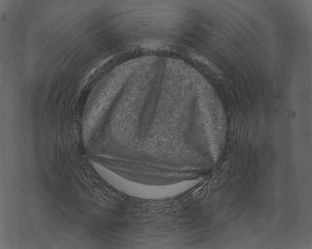 X0000073390776200608251433