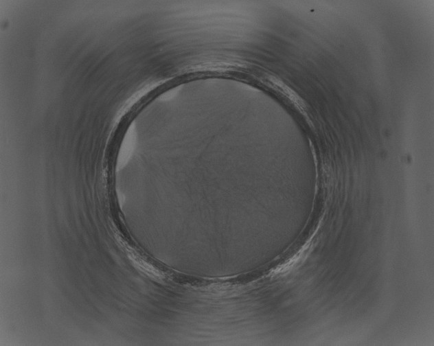 X0000073390779200608251433
