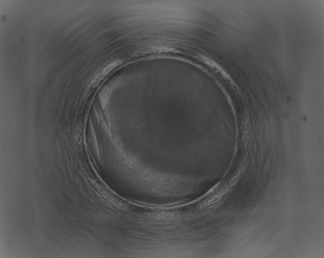 X0000073390785200608251433