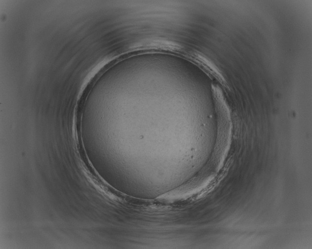 X0000073390788200608251433