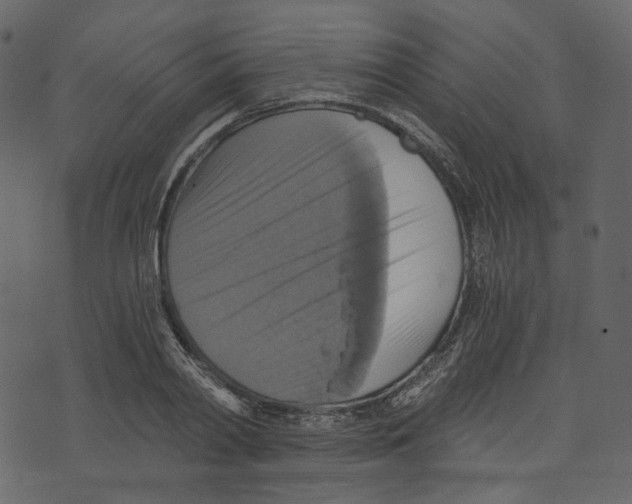 X0000073390790200608251433