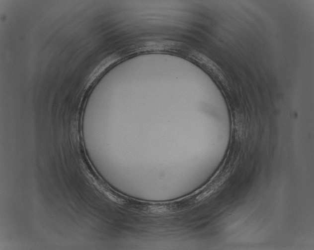 X0000073390794200608251433