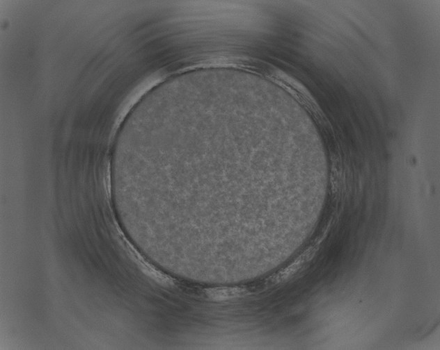 X0000073390804200608251433