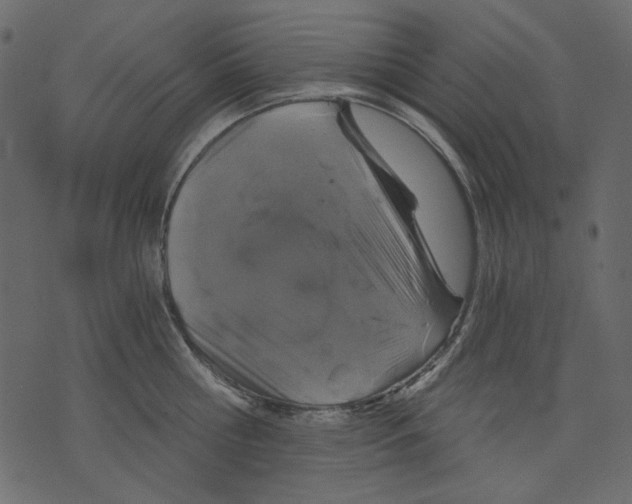 X0000073390810200608251433