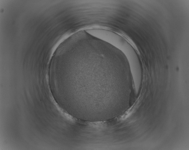 X0000073390813200608251432