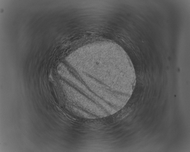 X0000073390817200608251432