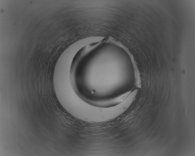 X0000073390818200608251432