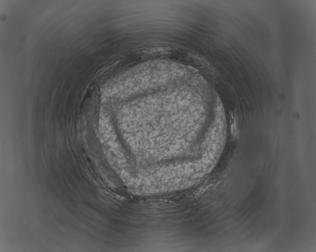 X0000073390819200608251432