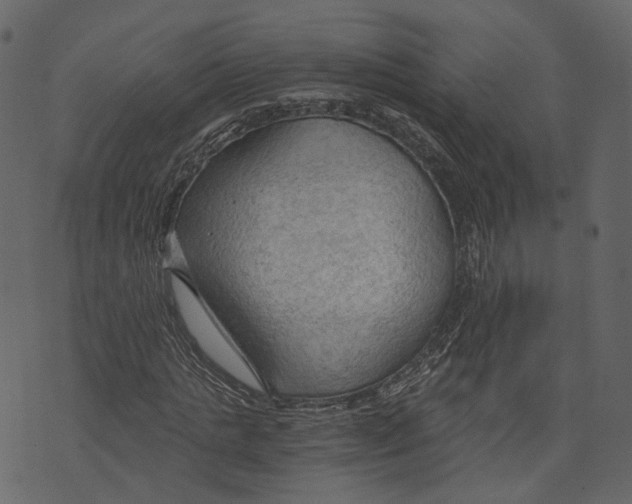 X0000073390821200608251432