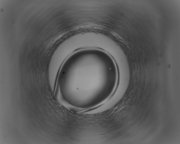 X0000073390822200608251432