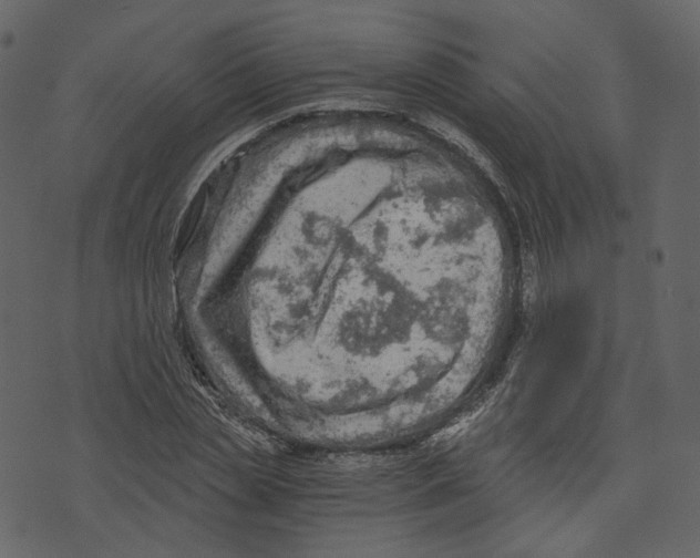 X0000073390829200608251432