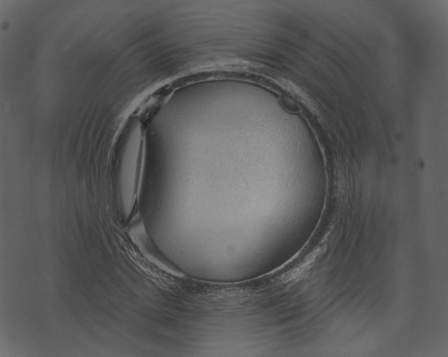 X0000073390830200608251432