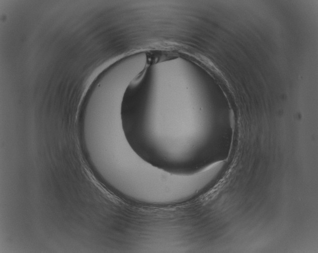 X0000073390838200608251432