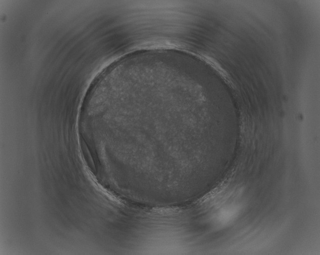 X0000073390840200608251432
