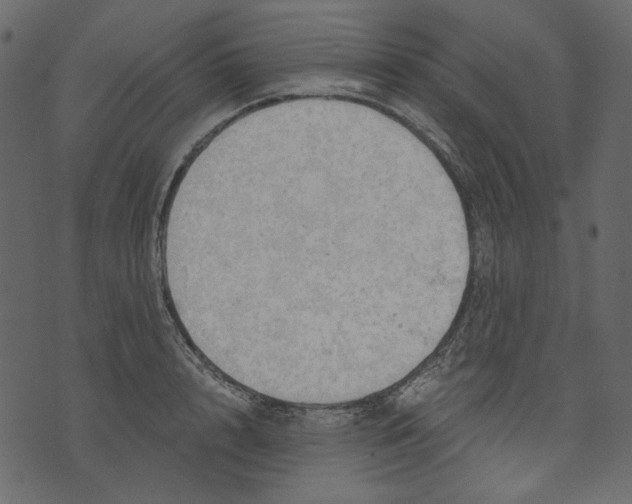 X0000073390848200608251432