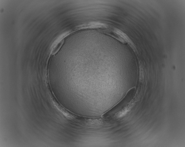 X0000073390850200608251432