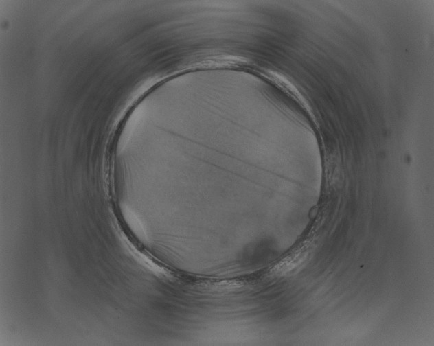 X0000073390851200608251432