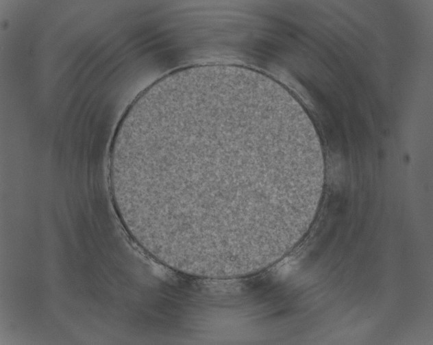X0000073390856200608251432