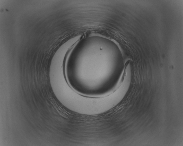 X0000073390868200608251432